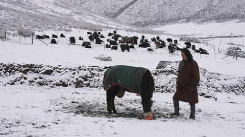 My Lens, My Land Bild 3