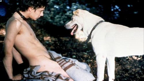 Fögi ist ein Sauhund Bild 4