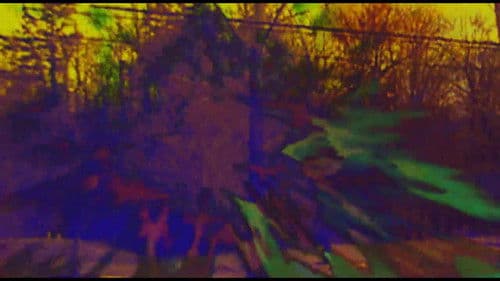 Joose Psychedelia Test Bild 8