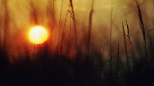 Sun Don't Shine Bild 5