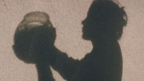 Walking Fernando Bild 2