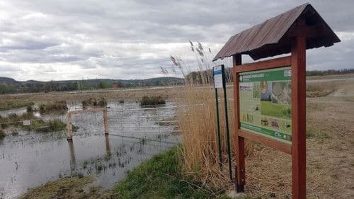 Česko řeší klima Bild 1