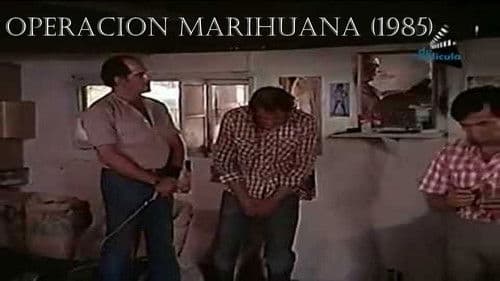 Operacion Marihuana Bild 1