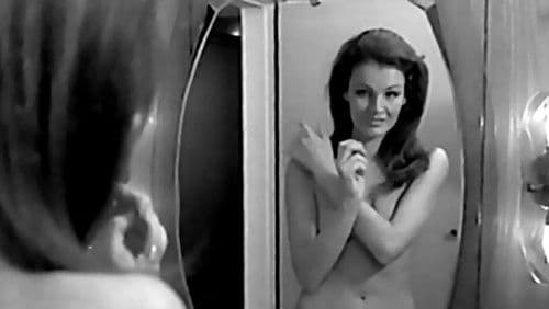 La gatta in calore Bild 2