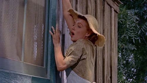 Er kam als ein Fremder Bild 4