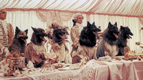 Die Zeit der Wölfe Bild 1