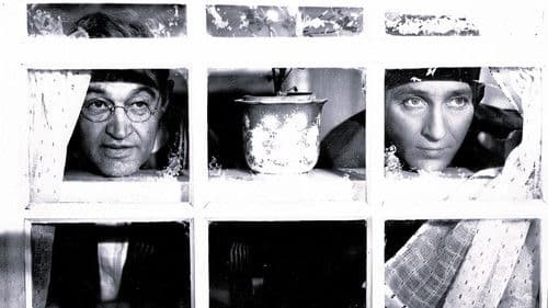 Welcome Stranger Bild 5