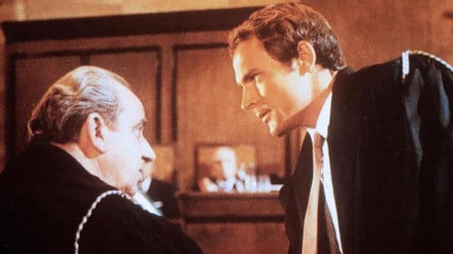 Allein gegen das Gesetz Bild 2