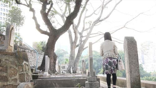 由百輝（男）到雪綾（女） Bild 1