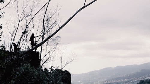 Melodies of a Mute Life Bild 4