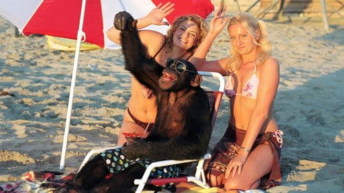 Funky Monkey - Ein Affe in geheimer Mission Bild 5