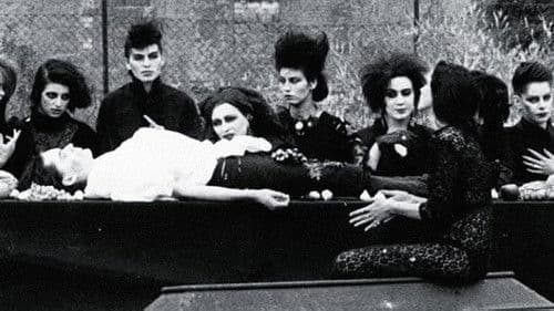 Bad Blood for the Vampyr Bild 2