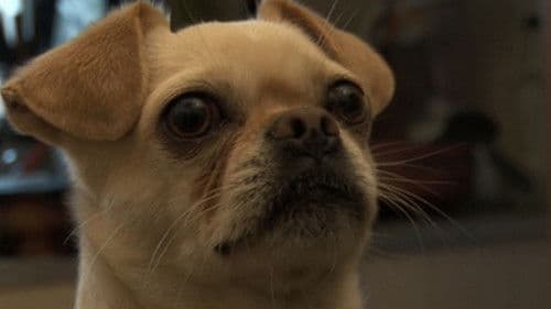 El mate amargo Bild 1