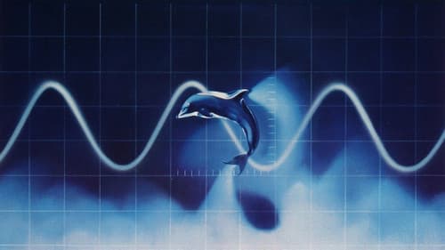 Der Tag des Delphins Bild 2