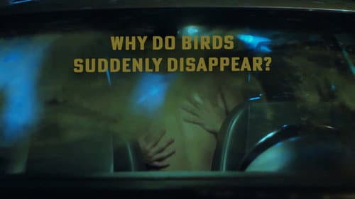 Why Do Birds Suddenly Disappear? Bild 3