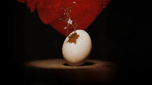 « Le Petit Cirque » aux Nuits de Fourvière Bild 1