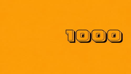 1000 Bild 2