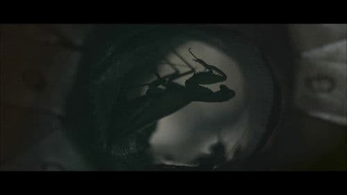 Spaghetti Ramen Bild 8