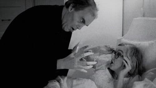 The “Damsel” Bild 1