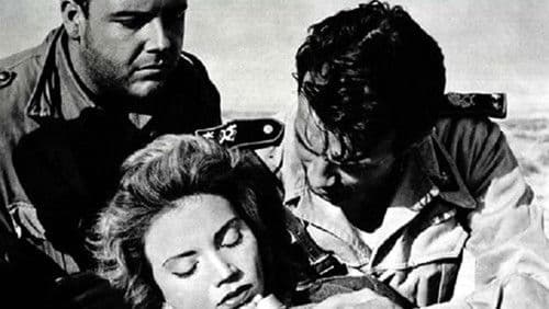 Quattro notti con Alba Bild 2