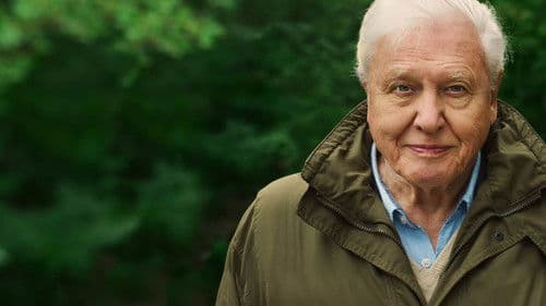 David Attenborough: Mein Leben auf unserem Planeten Bild 5