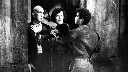 The Vicious Years Bild 1