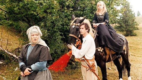 Der Feuervogel Bild 1