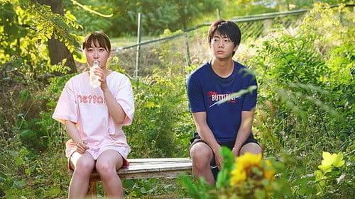 のぼる小寺さん Bild 1