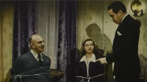 The Black Raven Bild 5