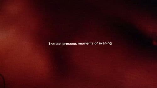 Illuminated Texts Bild 2