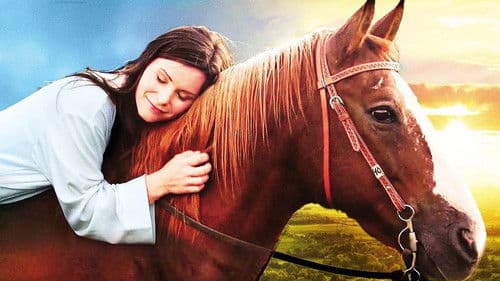 Ferien auf dem Reiterhof Bild 2