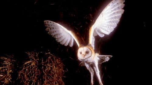 Von Tieren und Hexen Bild 2