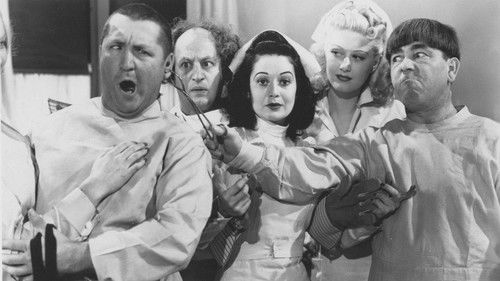 Calling All Curs Bild 1