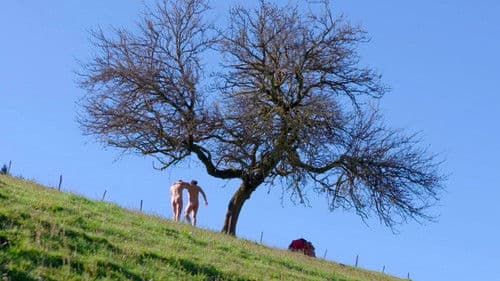 Balbuzards pêcheurs Bild 1