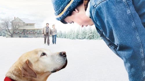 Ein Hund namens Weihnachten Bild 5