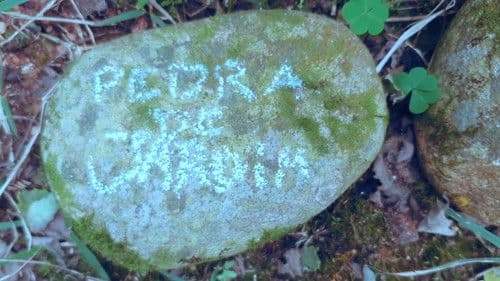 pedra de jardim Bild 1