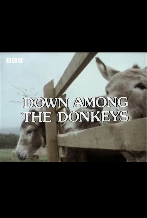 Down Among the Donkeys