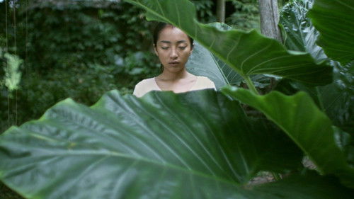 A Million Years Bild 2