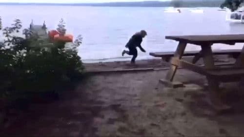 Concord Grapes Bild 1