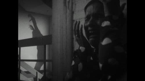 Vierkante Ogen Bild 2