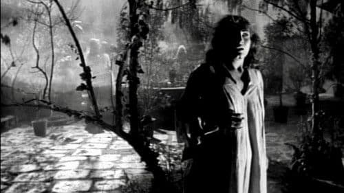 Der Tote kehrt zurück Bild 4