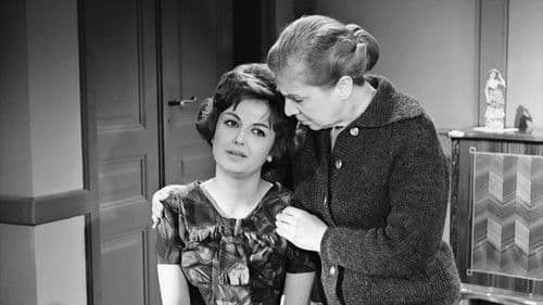 Ο Θόδωρος και το δίκανο Bild 3