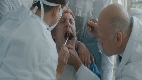 Sockerexperimentet Bild 8