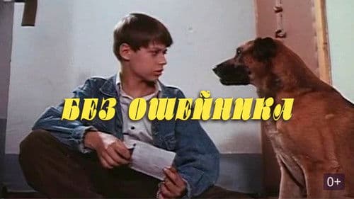 Без ошейника Bild 1