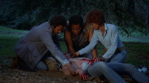 Männer wie die Tiger Bild 3