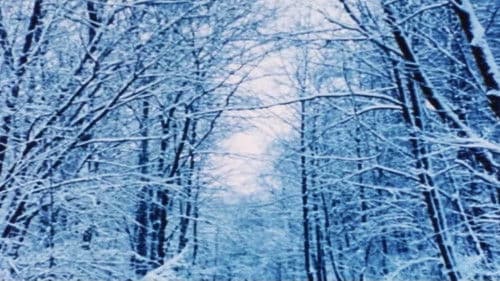 Hours for Jerome Bild 4