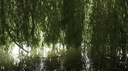 Que reste-t-il de nous ? Bild 3