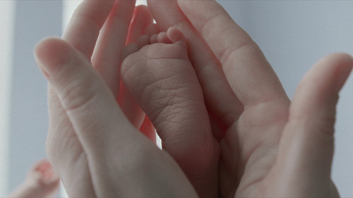 The Tree of Life Bild 8