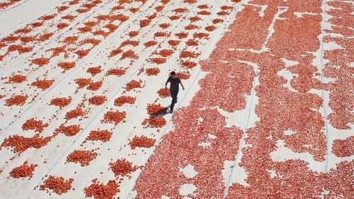 One of Those Days When Hemme Dies Bild 3