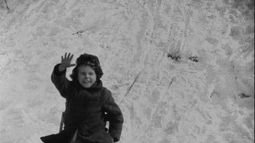 Пригоди полтинника Bild 2